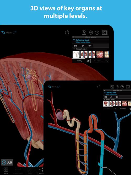 Human Anatomy Atlas 2023 Screenshot3