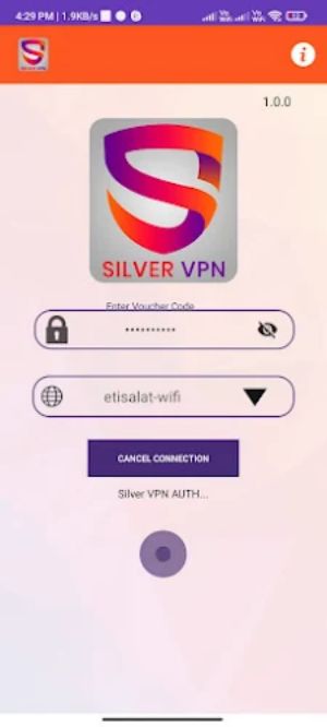 SilverVPN Screenshot2