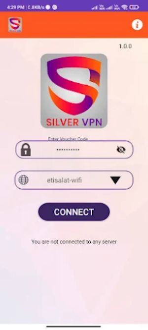 SilverVPN Screenshot1