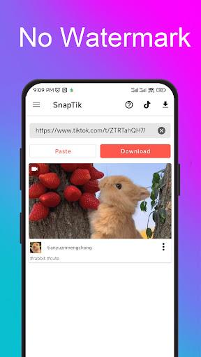 Snaptik: Video No Watermark Screenshot1