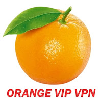 ORANGE VIP VPN PRO APK