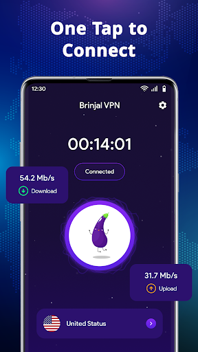 Brinjal VPN - Safer Internet Screenshot3