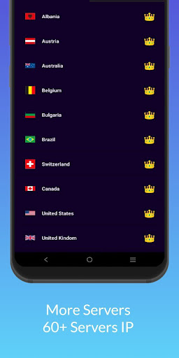 Plum VPN - Safest Internet Screenshot2