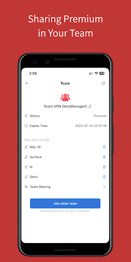 Team VPN Screenshot3
