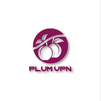 Plum VPN - Safest Internet APK