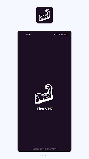 Flex VPN Screenshot1