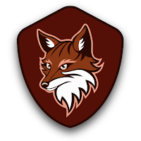 FOXY VPN- fast connection APK