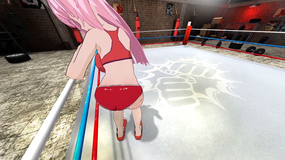 Hentai Fighters VR Screenshot1
