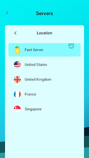 Pineapple VPN Screenshot2