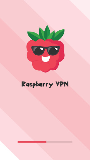 raspberry VPN Screenshot4