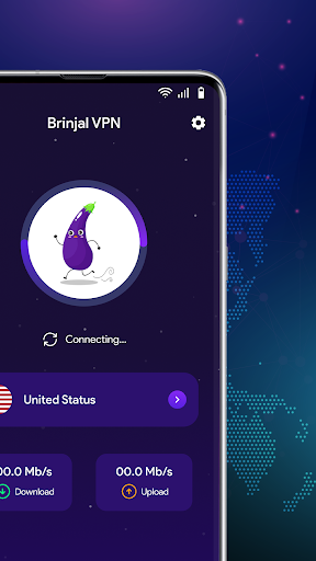 Brinjal VPN - Safer Internet Screenshot2
