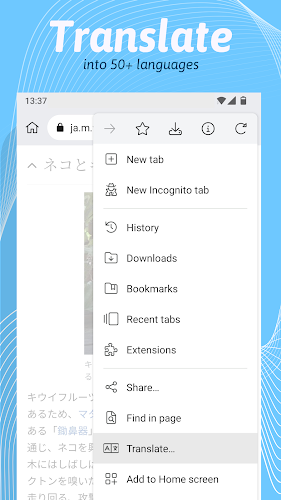 Kiwi Browser - Fast & Quiet Screenshot4