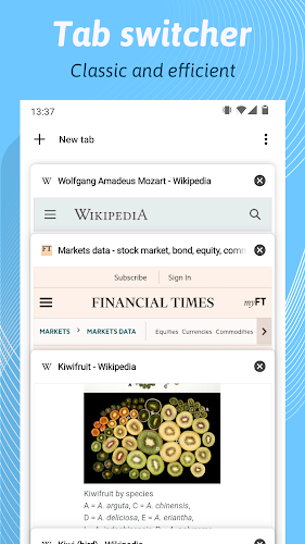 Kiwi Browser - Fast & Quiet Screenshot2