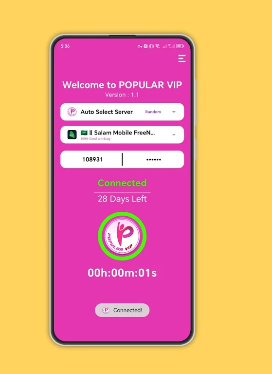 Popular VIP VPN Screenshot1