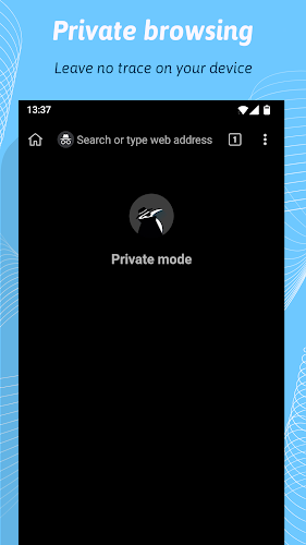 Kiwi Browser - Fast & Quiet Screenshot7
