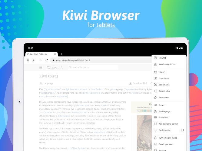 Kiwi Browser - Fast & Quiet Screenshot8