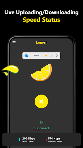 Lemon VPN Proxy Screenshot3