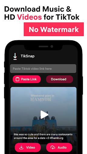 TikSnap: Downloader for TikTok Screenshot1