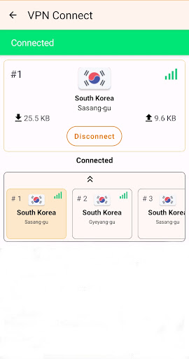 VPN Connect Screenshot2