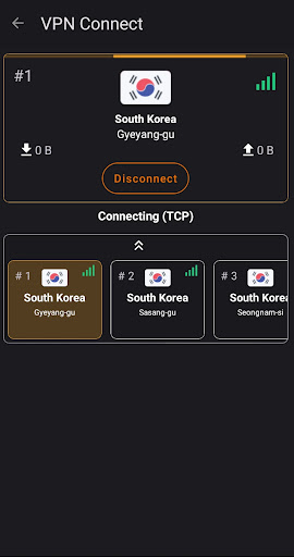 VPN Connect Screenshot4