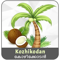 Kozhikodan VPN APK