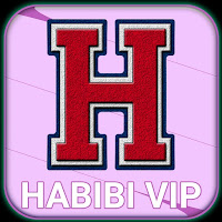 HABIBI VPN APK