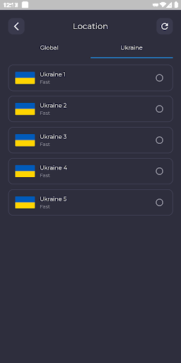 Ukraine VPN - Get Ukrainian IP Screenshot3