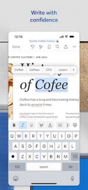 Microsoft Word Screenshot2