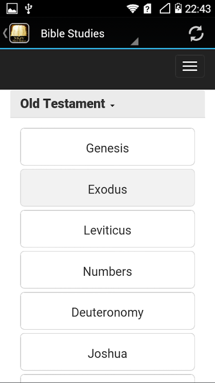 NKJV Bible Online 1.0 Screenshot3