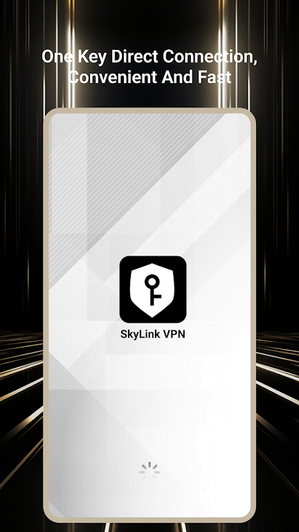 SkyLink VPN Screenshot2