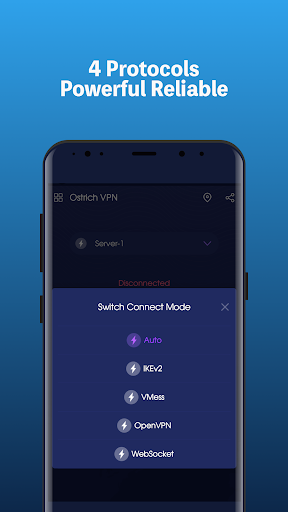 Ostrich VPN - Proxy Unlimited Screenshot3