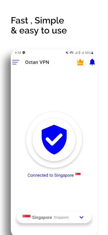 Octan VPN - Secure Internet Screenshot3