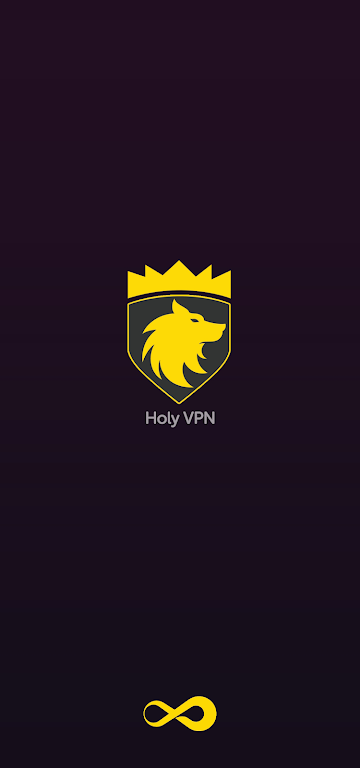 Holy VPN: Express Proxy VPN Screenshot1