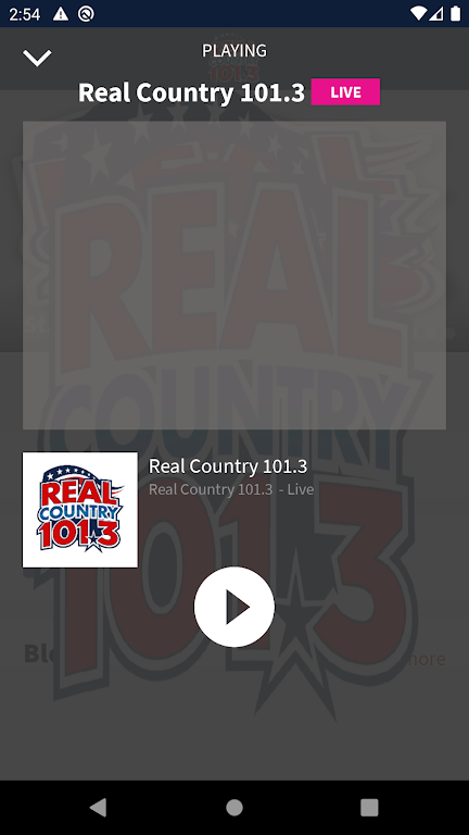 101.3 Real Country Screenshot2