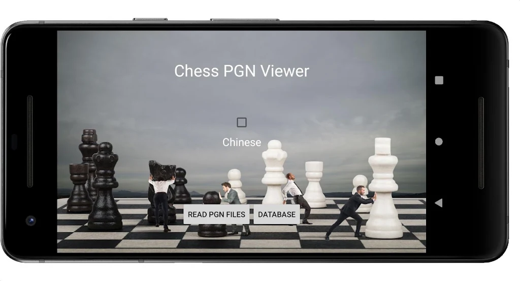 Chess PGN Viewer Screenshot1