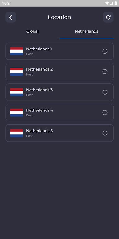 Netherlands VPN: Secure & Fast Screenshot3