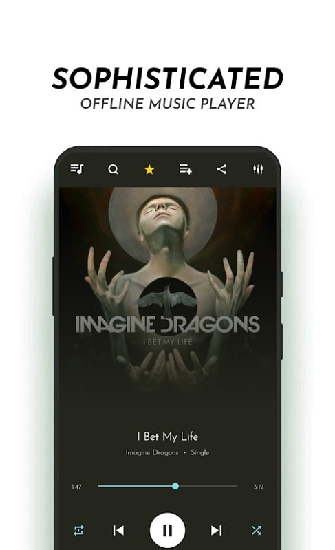 audioPro Music Player Screenshot1