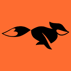 FastFox VPN APK