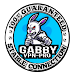 Gabby VPN Pro APK