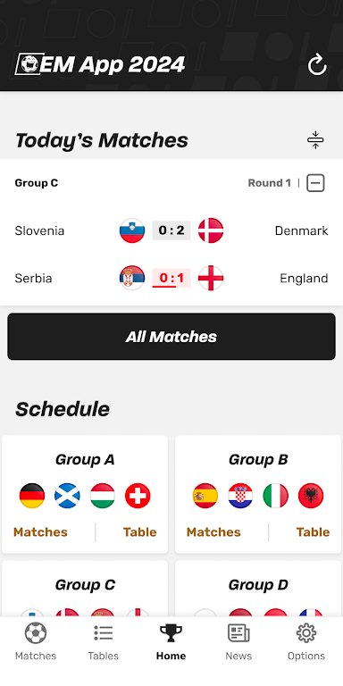 European Championship App 2024 Screenshot1