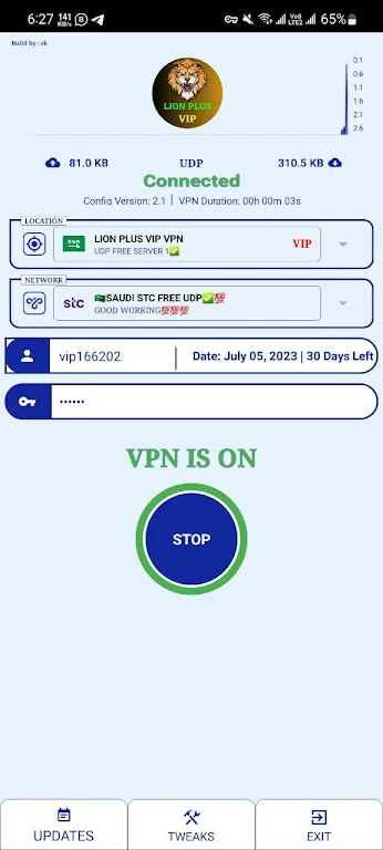 LION PLUS VIP VPN - Secure VPN Screenshot1