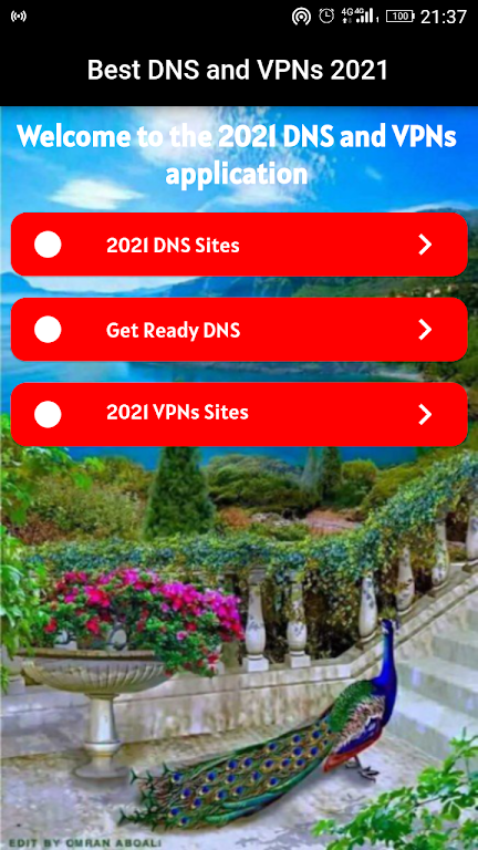 DNS and VPNs Screenshot1