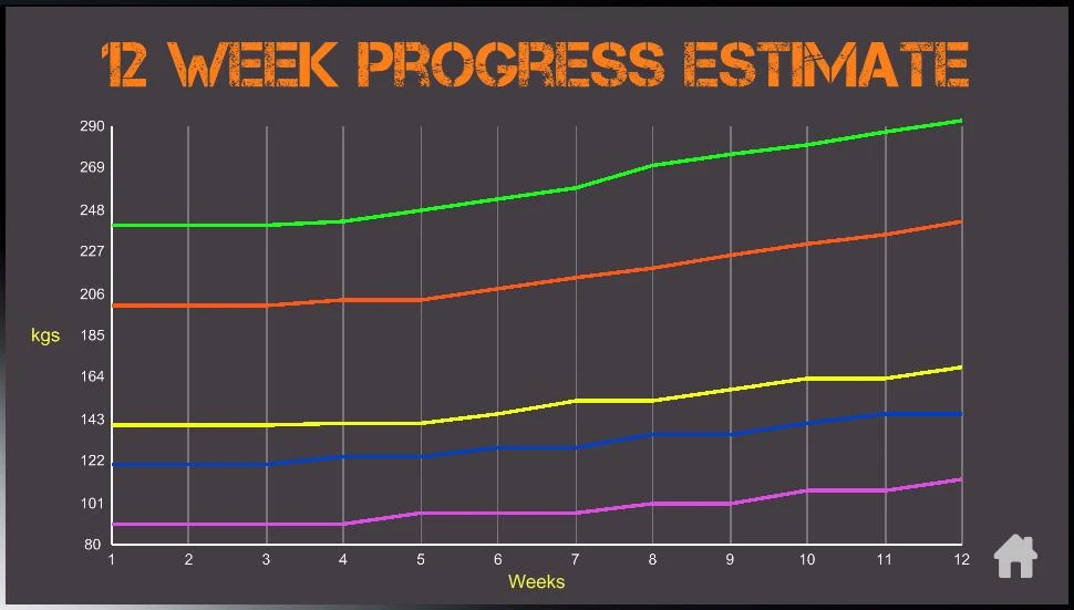 Madcow 5x5 program Screenshot2