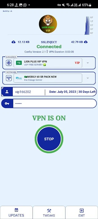 LION PLUS VIP VPN - Secure VPN Screenshot3