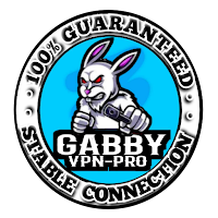Gabby VPN Pro APK