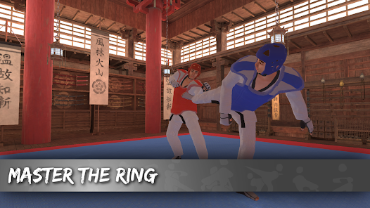 True Taekwondo Mod Screenshot1