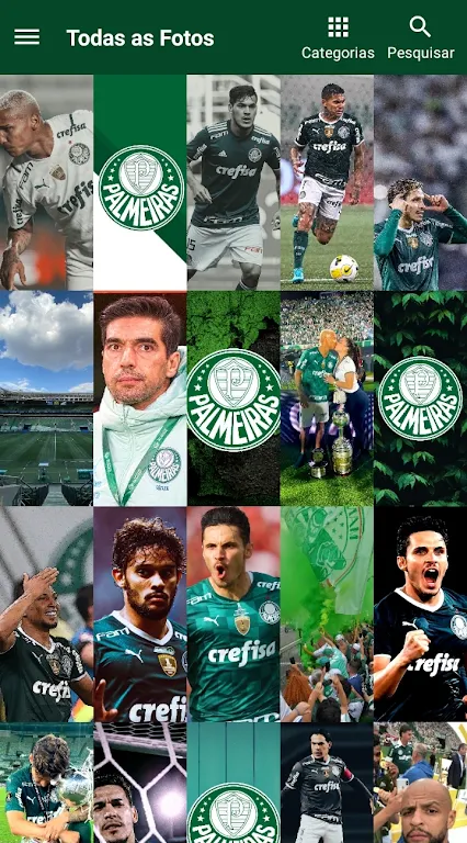 Palmeiras Papel de Parede - HD Screenshot1