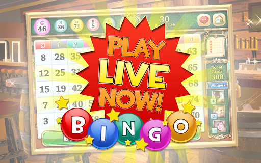 Bingo Bango - Free Bingo Game Screenshot1