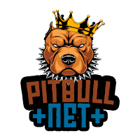 PITBULL VPN 5G+ APK