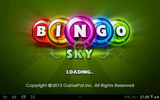 Bingo Pro - New US Bingo Games Screenshot1